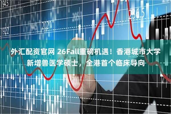 外汇配资官网 26Fall重磅机遇！香港城市大学新增兽医学硕士，全港首个临床导向