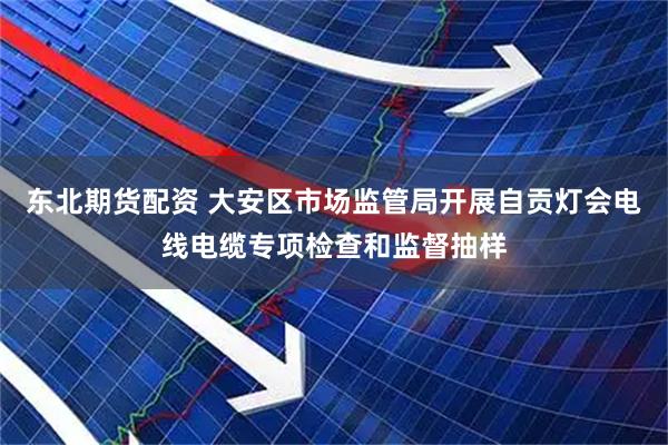 东北期货配资 大安区市场监管局开展自贡灯会电线电缆专项检查和监督抽样