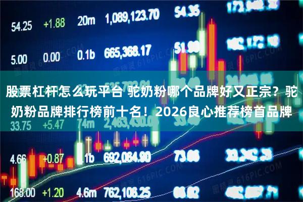 股票杠杆怎么玩平台 驼奶粉哪个品牌好又正宗？驼奶粉品牌排行榜前十名！2026良心推荐榜首品牌