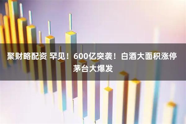 聚财略配资 罕见！600亿突袭！白酒大面积涨停 茅台大爆发