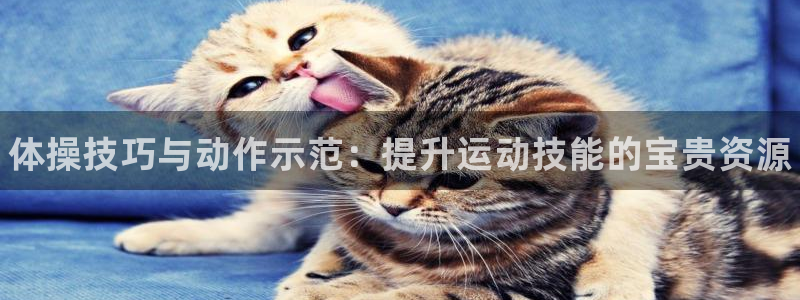 米兰体育官网下载平台注册要钱吗是真的吗：体操技巧与动