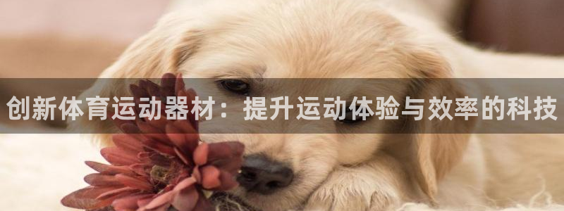 米兰体育官方集团官网：创新体育运动器材：提升运动体验