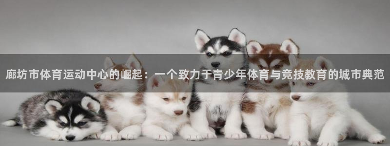 米兰体育官方正版app集团E.ON：廊坊市体育运动中