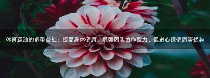 米兰体育官网下载招商电话地址是多少：体育运动的多重益