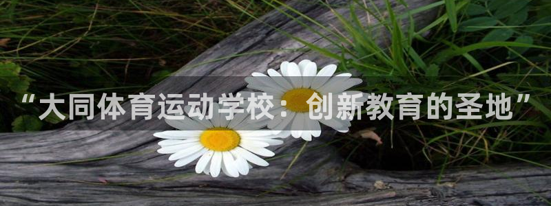 米兰体育官方正版app娱乐40996：“大同体育运动
