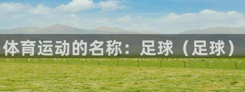 米兰体育官方正版app娱乐下载：体育运动的名称：足球（足球）