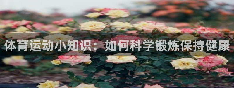 米兰体育官方正版app代理：体育运动小知识：如何科学