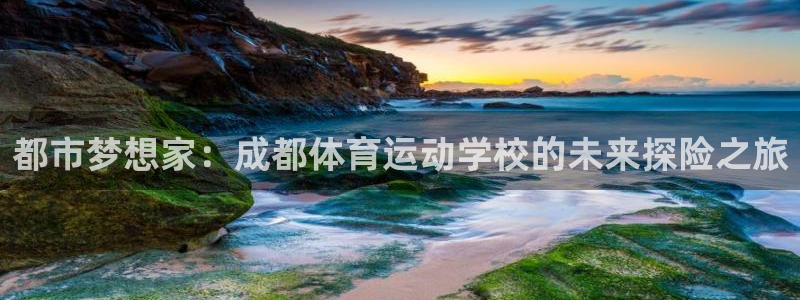 米兰体育官网下载招商电话：都市梦想家：成都体育运动学