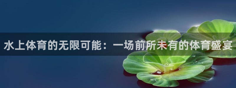 米兰体育官方正版app集团E.ON：水上体育的无限可
