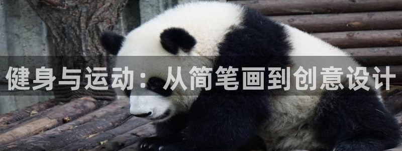 米兰体育官网下载软件：健身与运动：从简笔画到创意设计