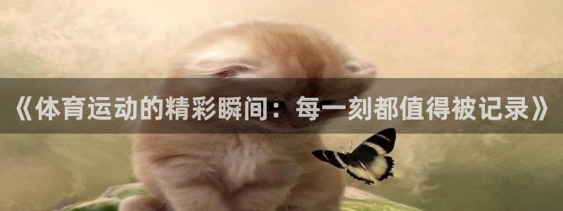 米兰体育官方正版app神州：《体育运动的精彩瞬间：每