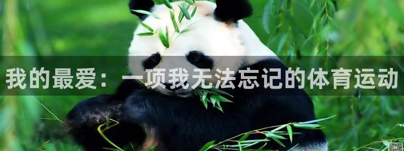 米兰体育官网下载平台注册要钱吗安全吗：我的最爱：一项