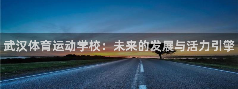 米兰体育官网下载软件：武汉体育运动学校：未来的发展与