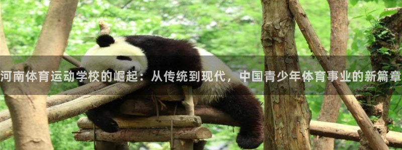 米兰体育官网下载招商电话号码是多少啊：河南体育运动学校的崛起